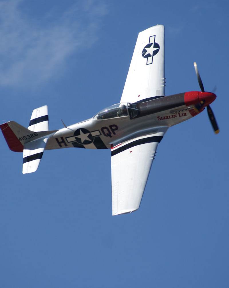  - Warbird