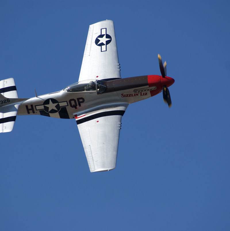  - Warbird