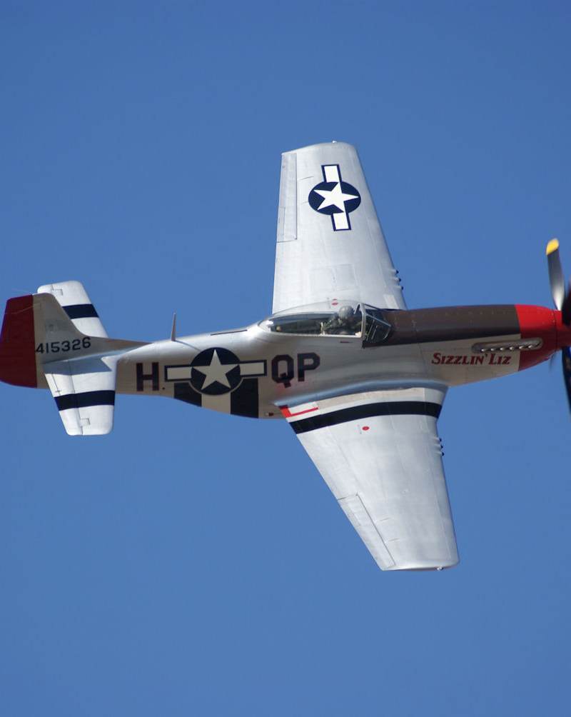  - Warbird