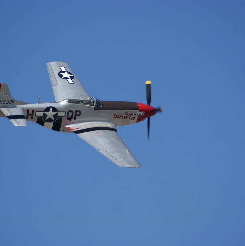  - Warbird