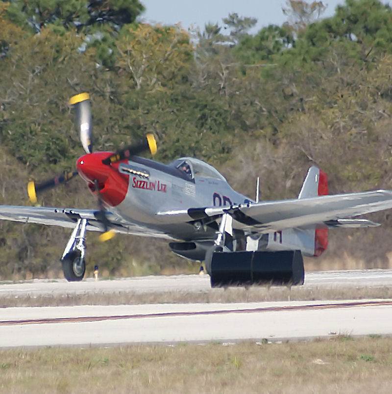  - Warbird