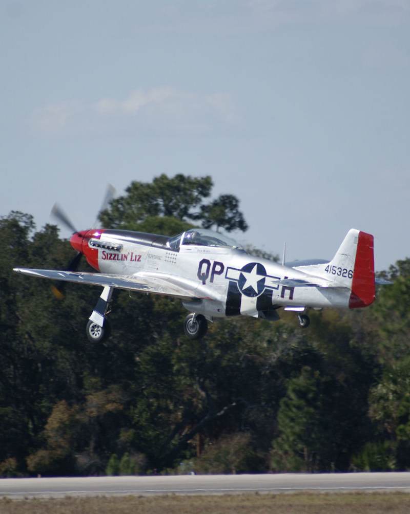  - Warbird