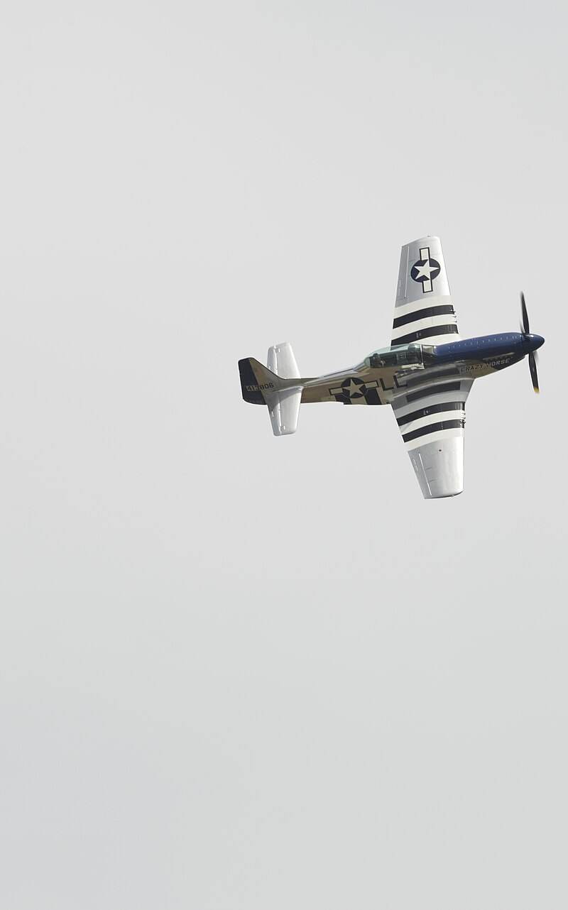  - Warbird