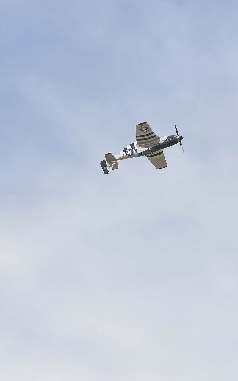  - Warbird