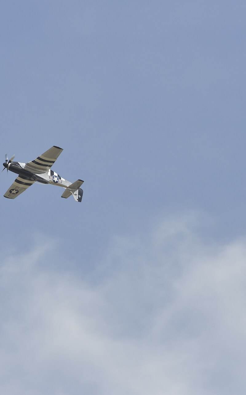  - Warbird