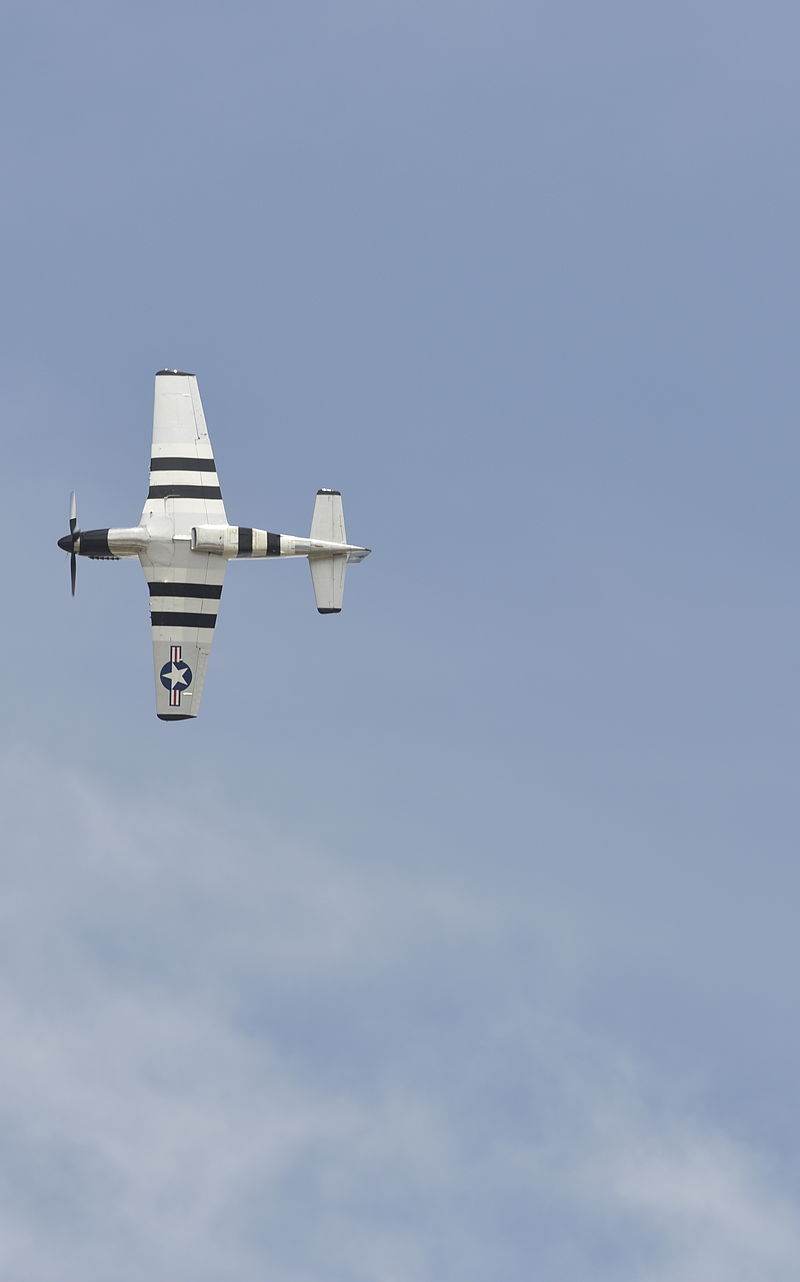  - Warbird