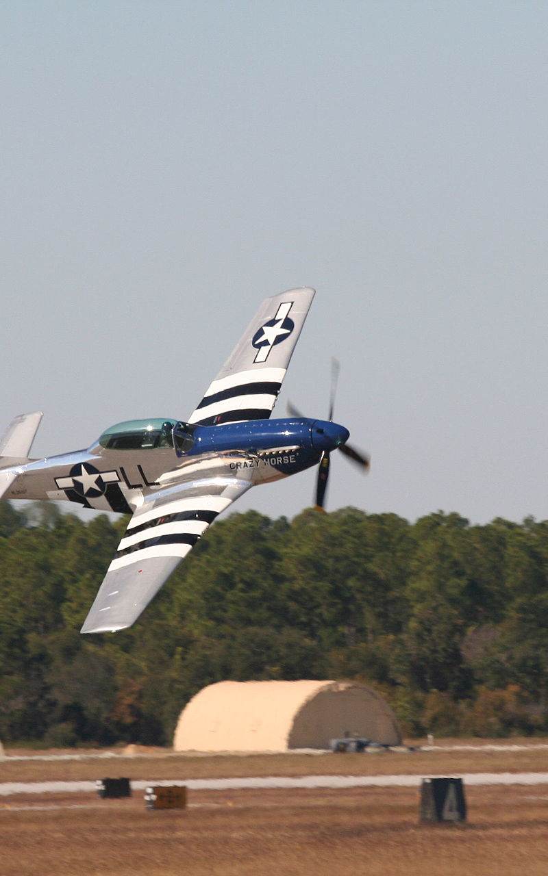  - Warbird