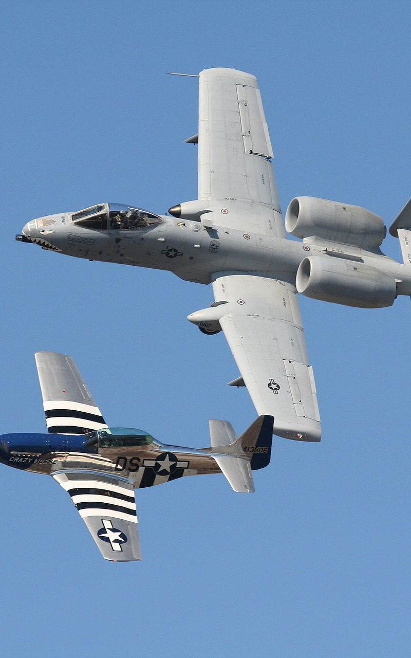  - Warbird