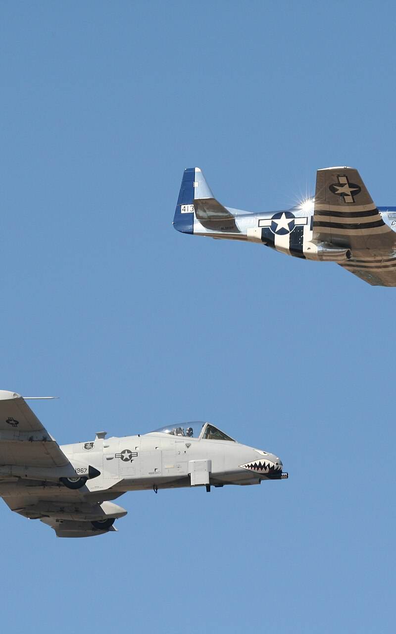  - Warbird