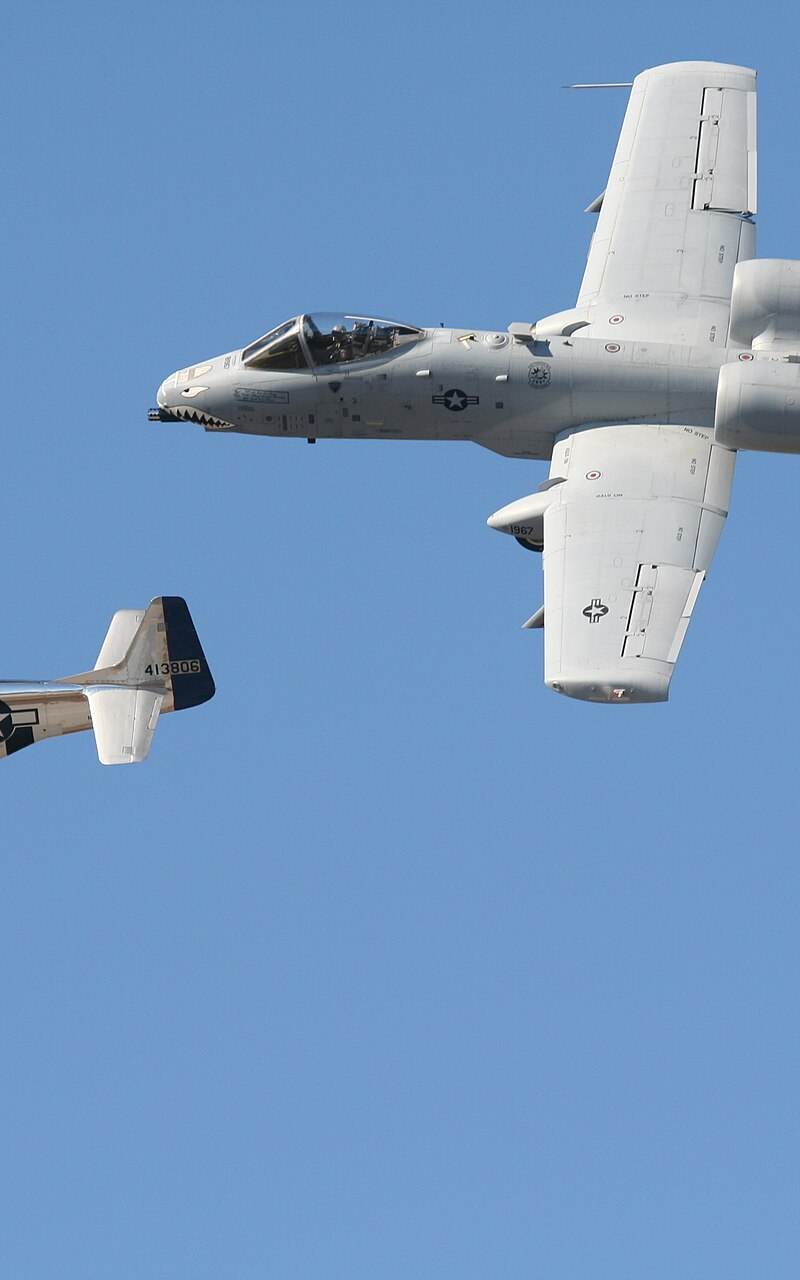  - Warbird