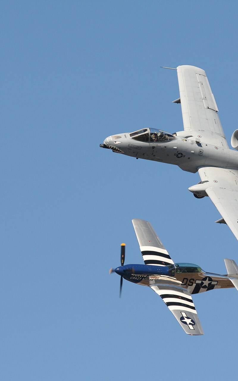  - Warbird