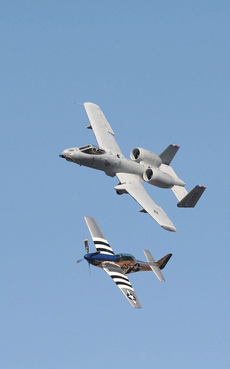  - Warbird