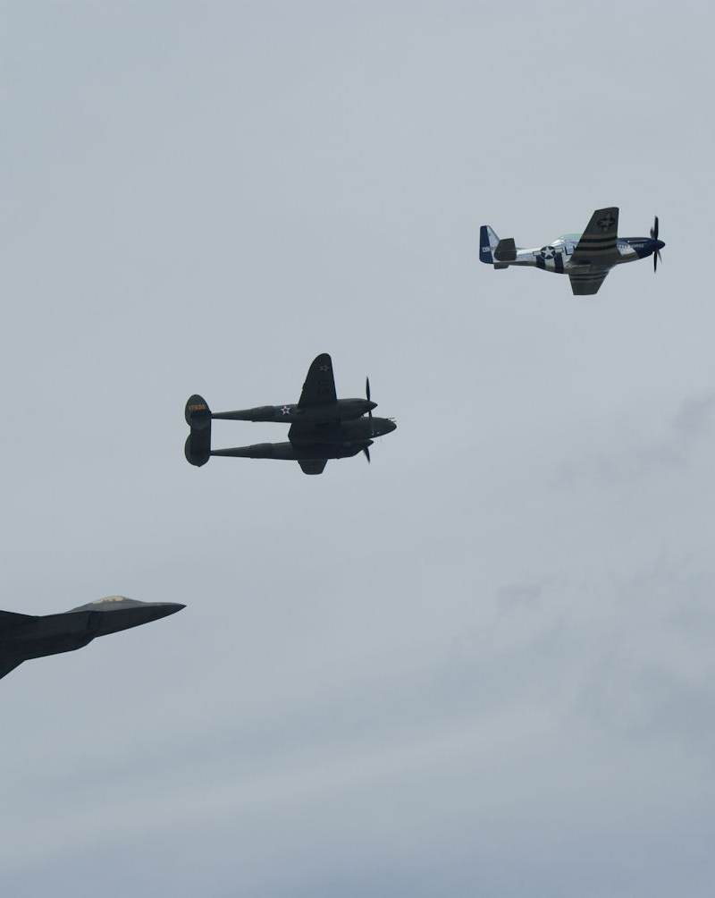  - Warbird