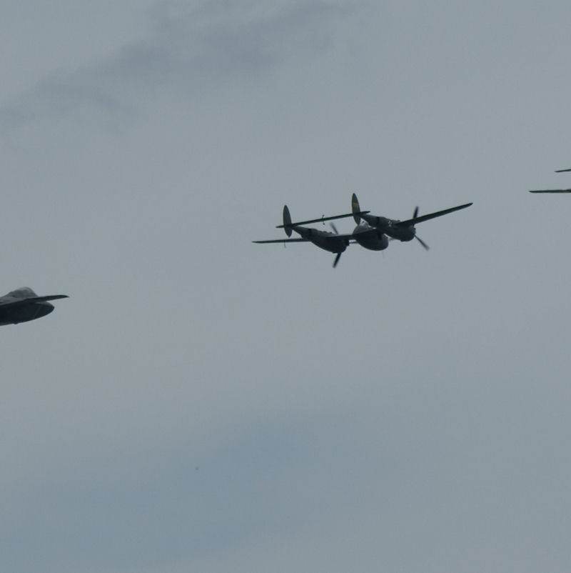  - Warbird