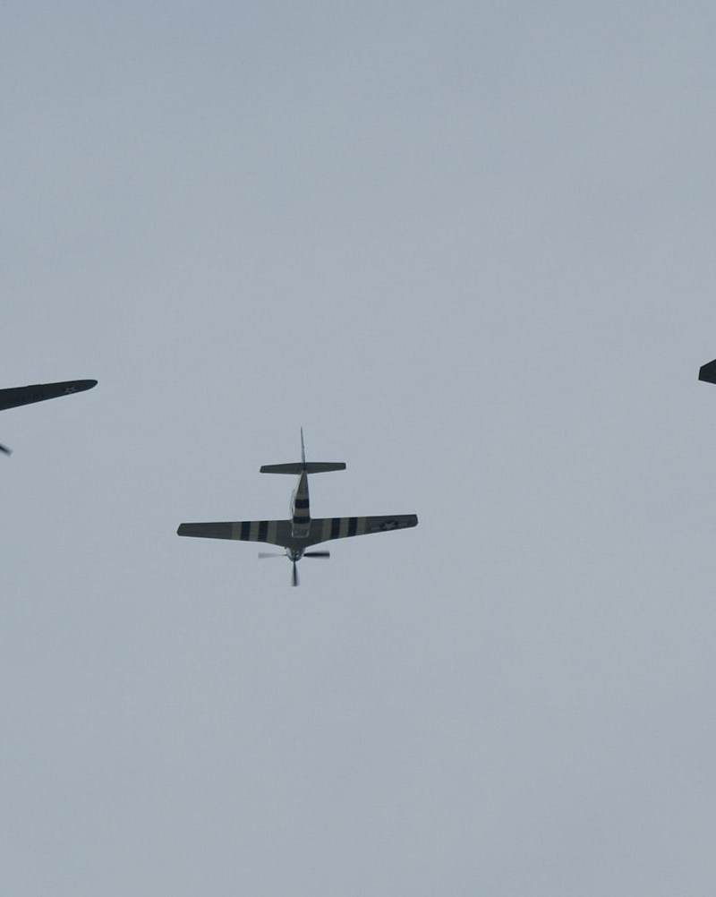  - Warbird