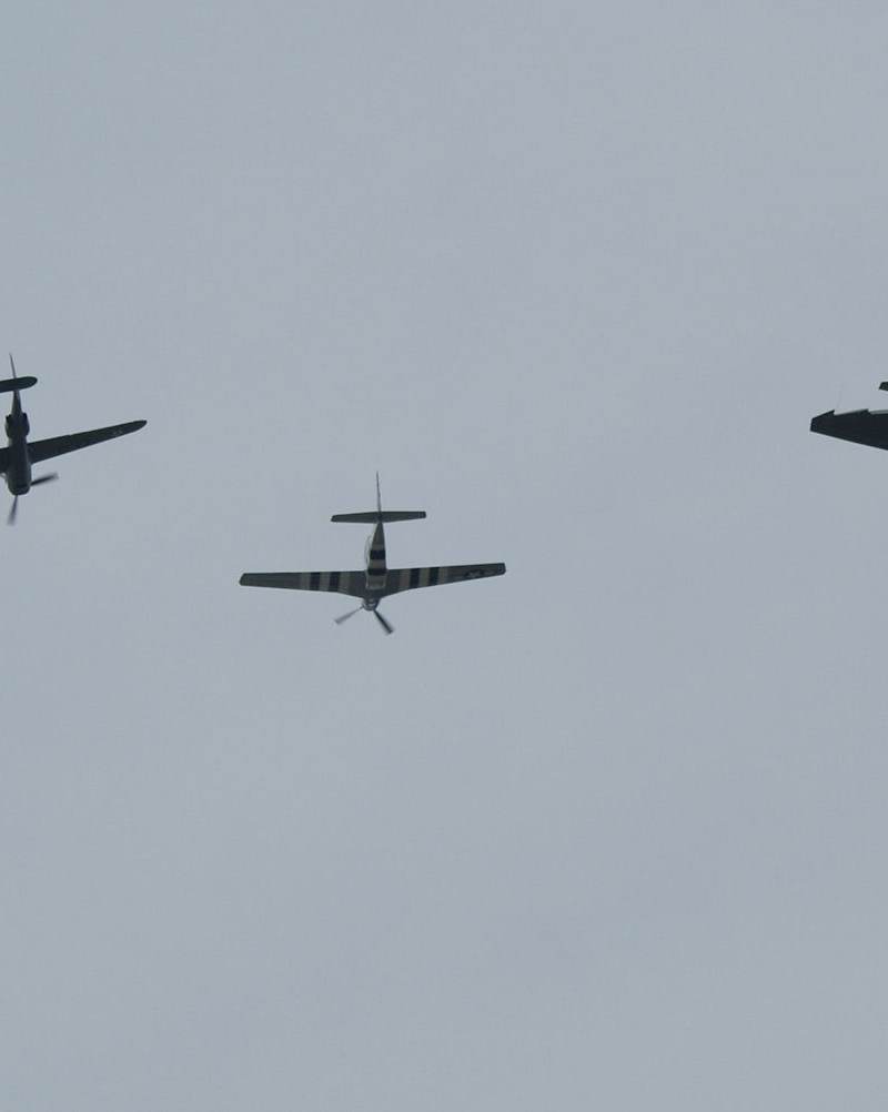  - Warbird