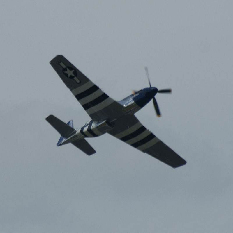  - Warbird