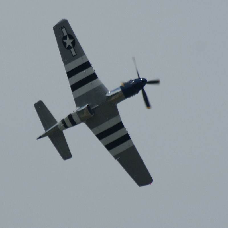  - Warbird