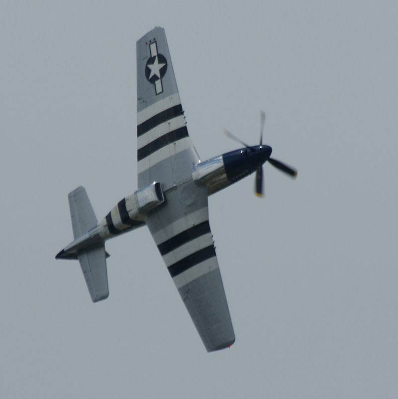  - Warbird