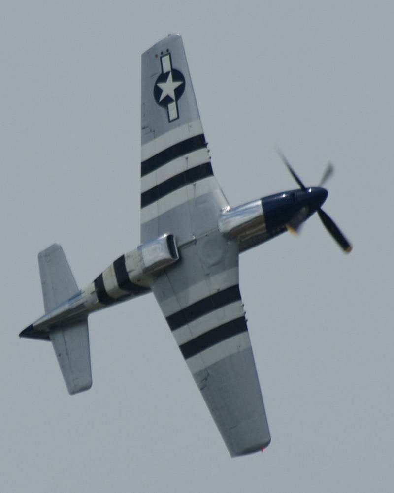  - Warbird