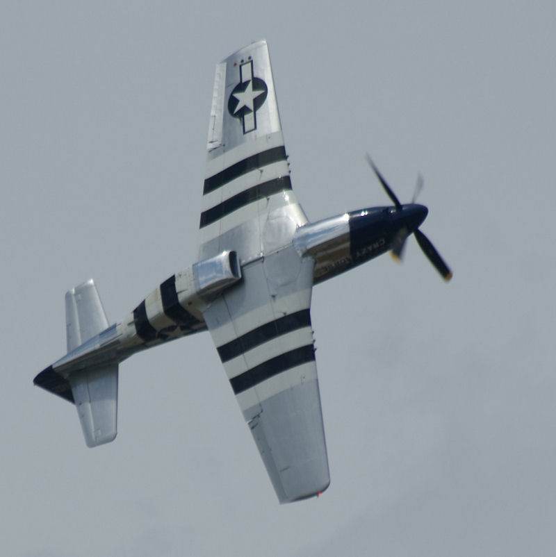  - Warbird