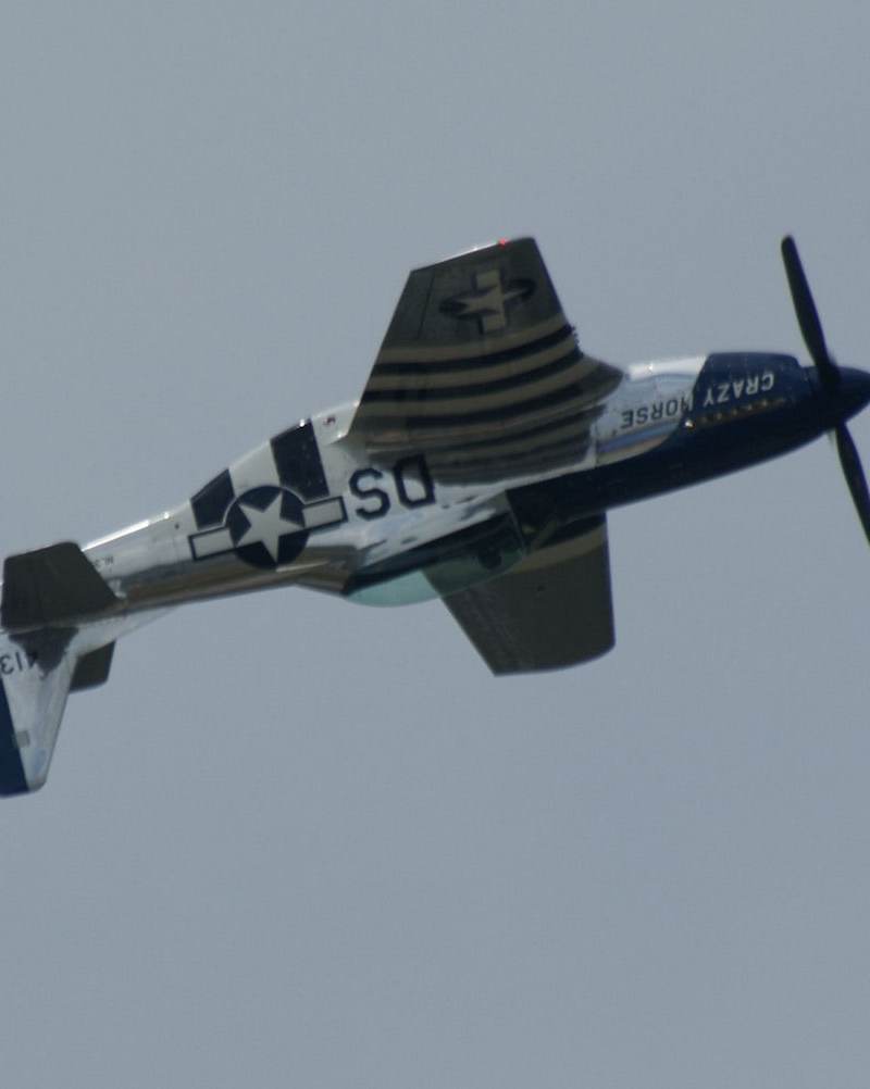  - Warbird