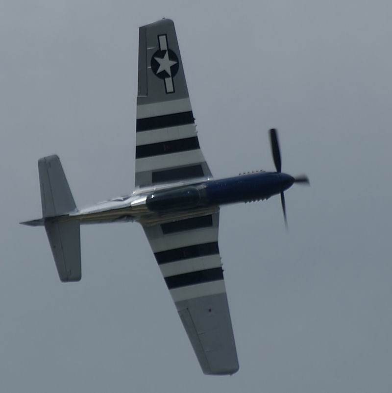  - Warbird