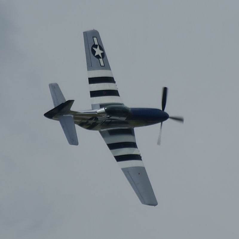  - Warbird