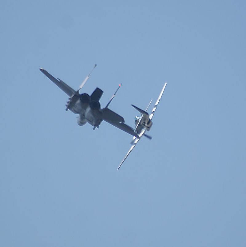  - Warbird
