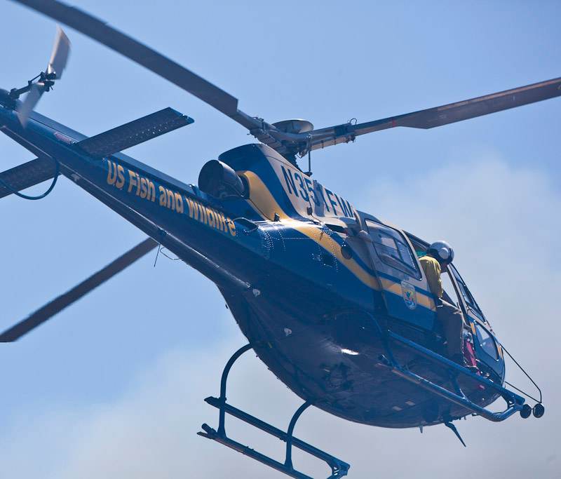 N351FW - Helicopter