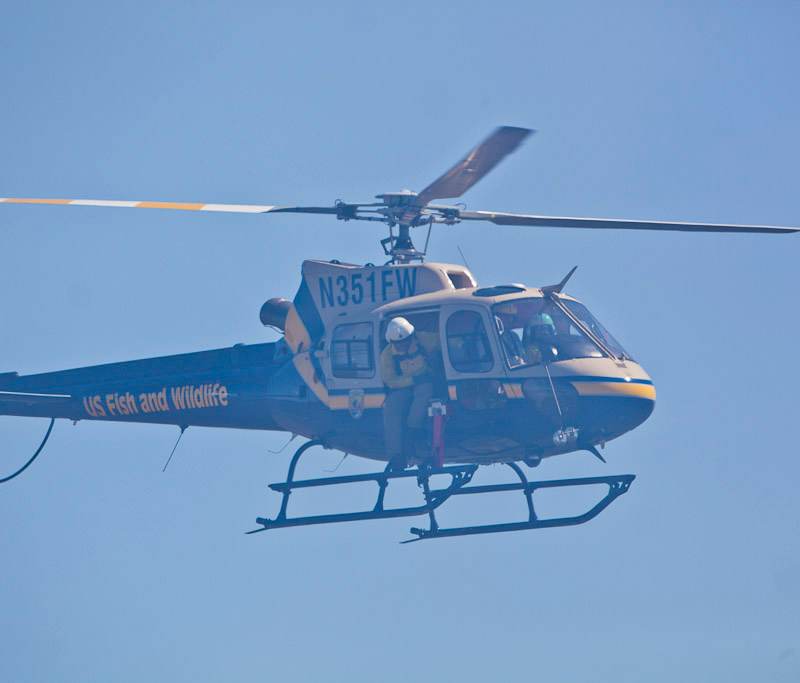 N351FW - Airbus