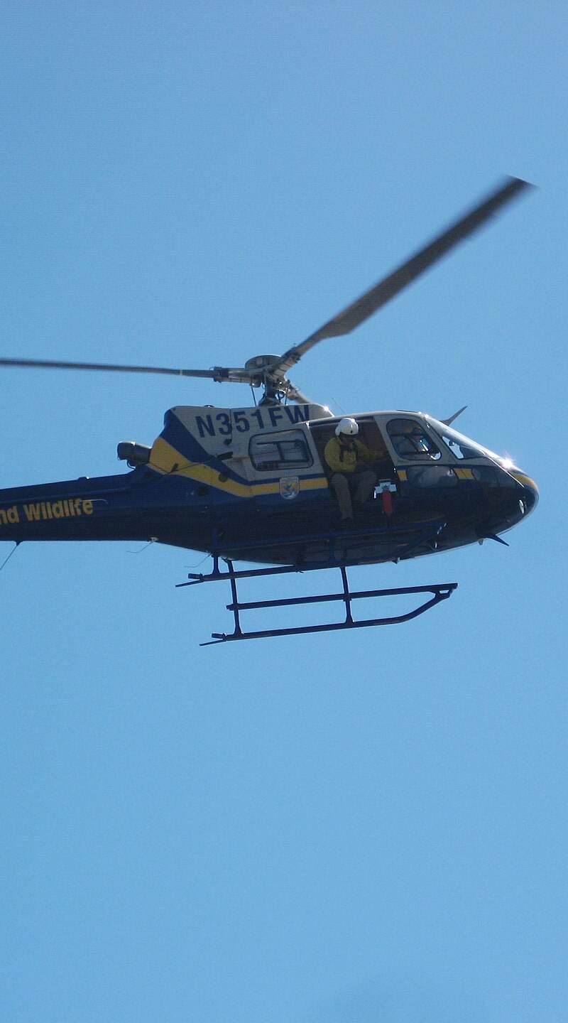N351FW - Helicopter