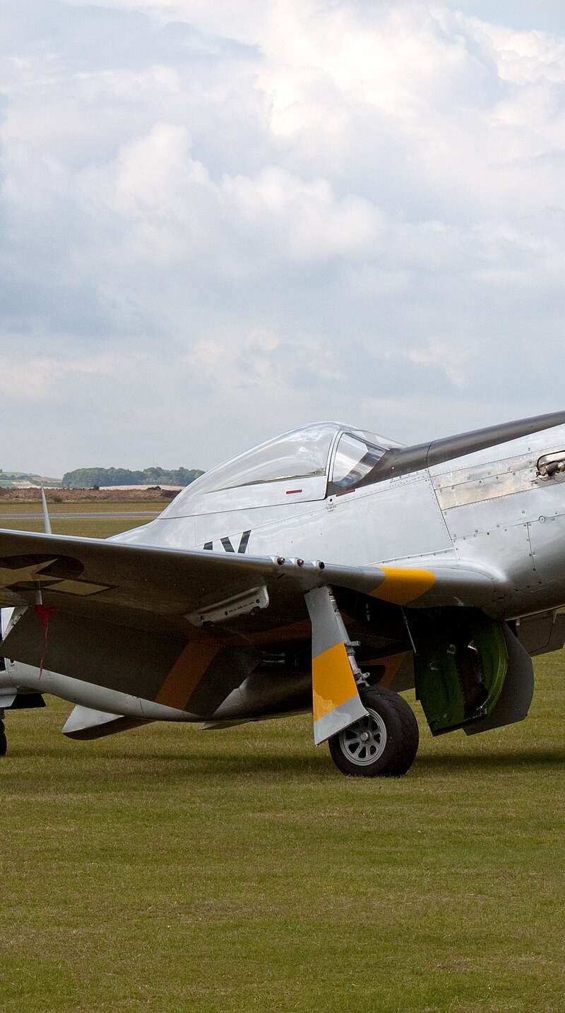  - Warbird