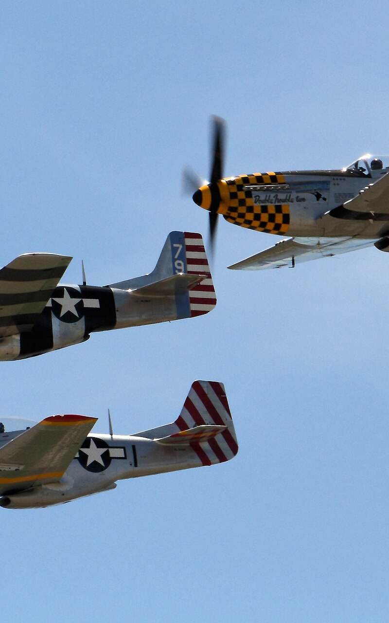  - Warbird
