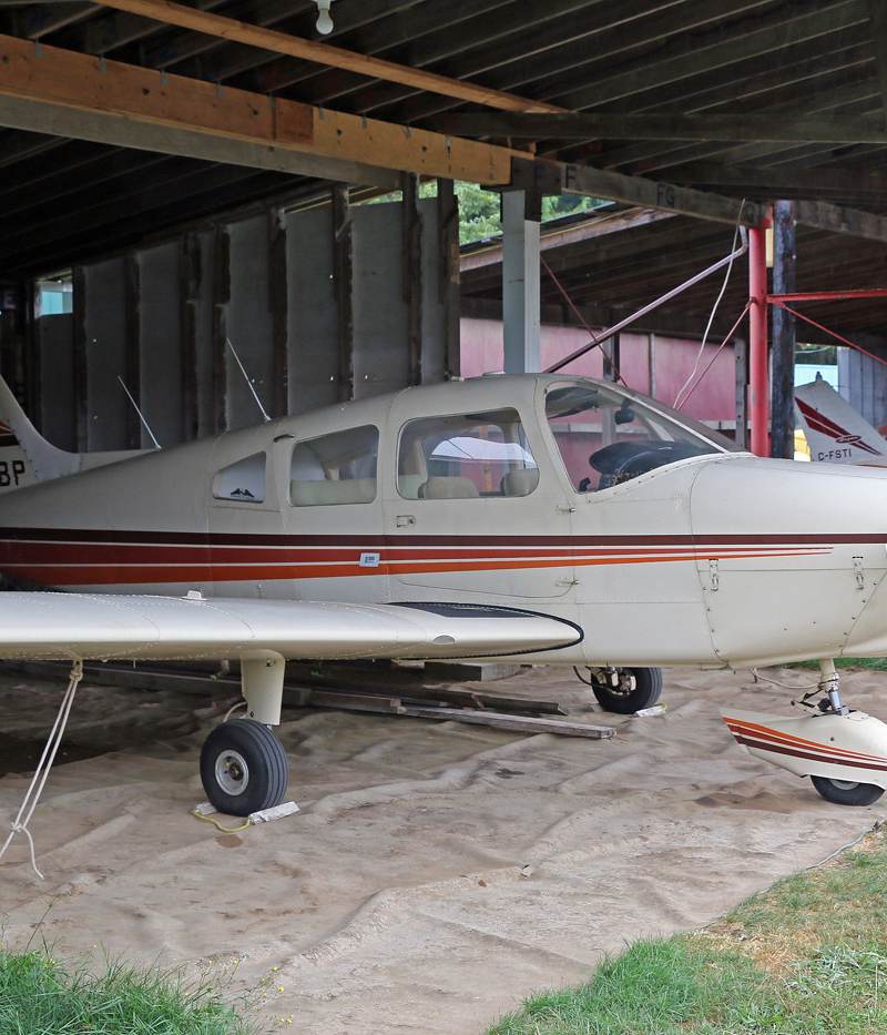 C-GNBP - Piper