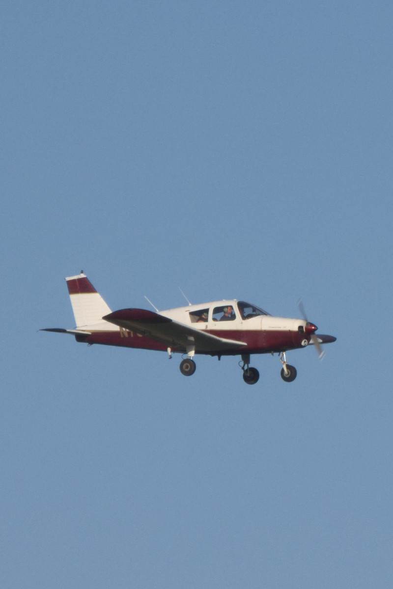 N7017W - Piper