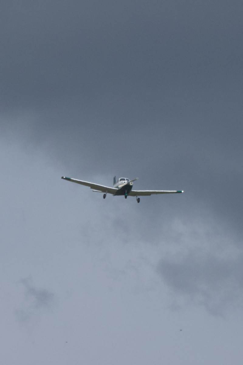 N839AL - Piper
