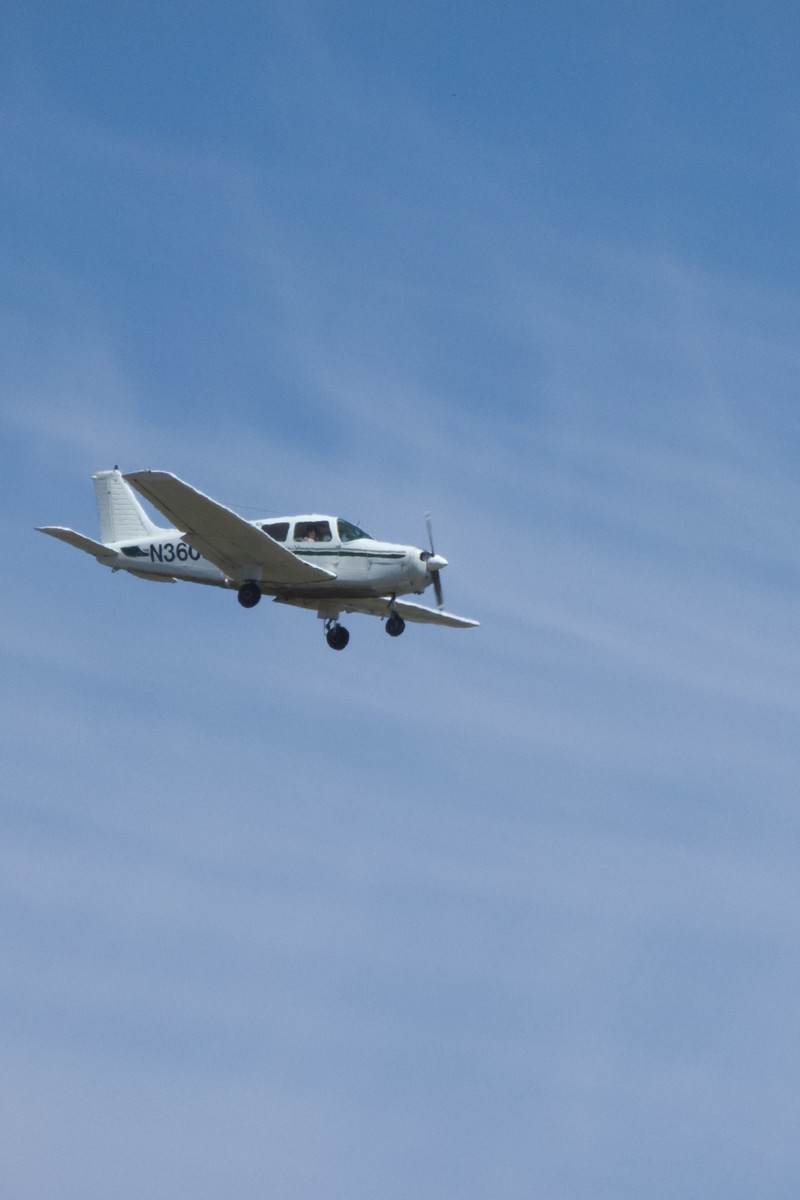 N36052 - Piper