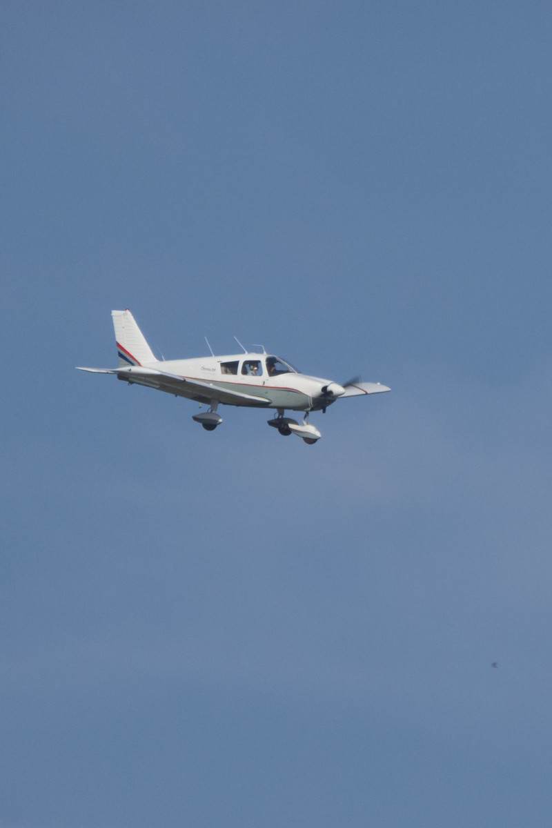 N8711W - Piper