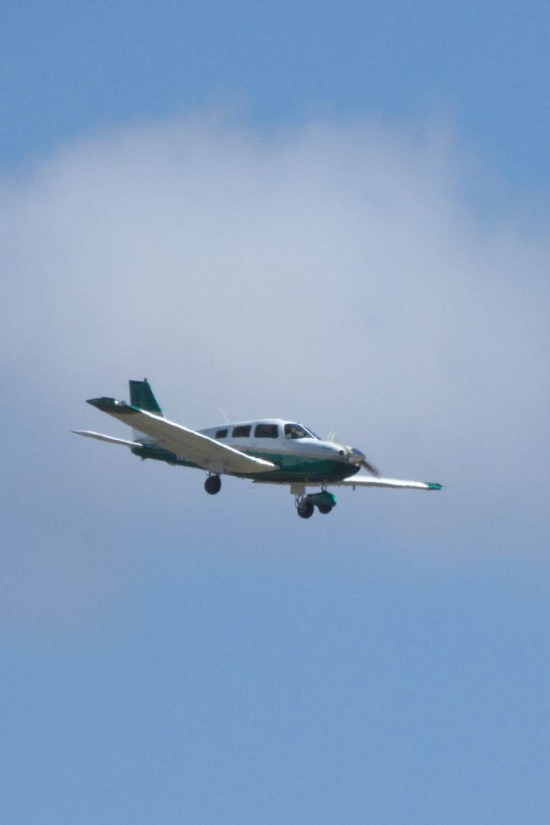 N839AL - Piper