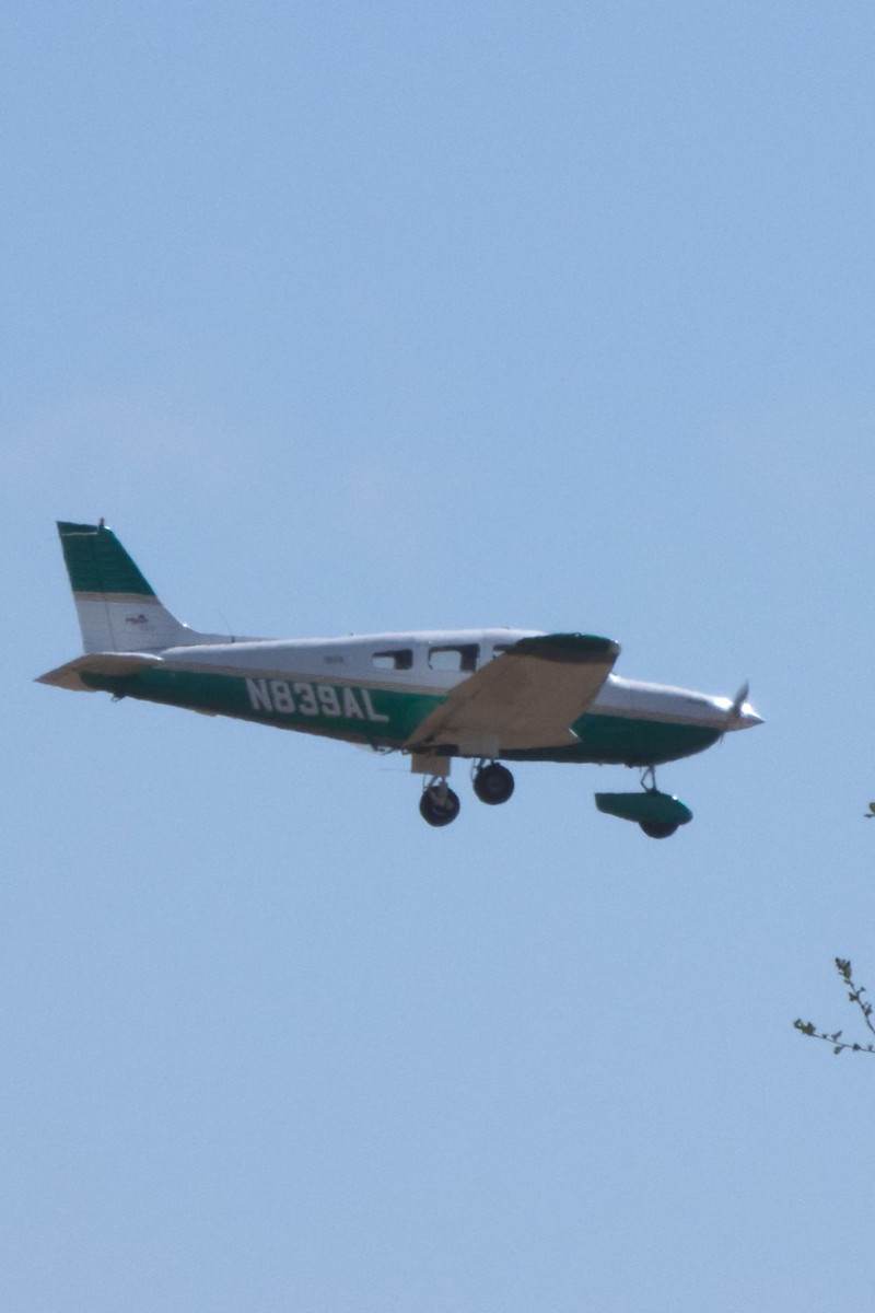 N839AL - Piper