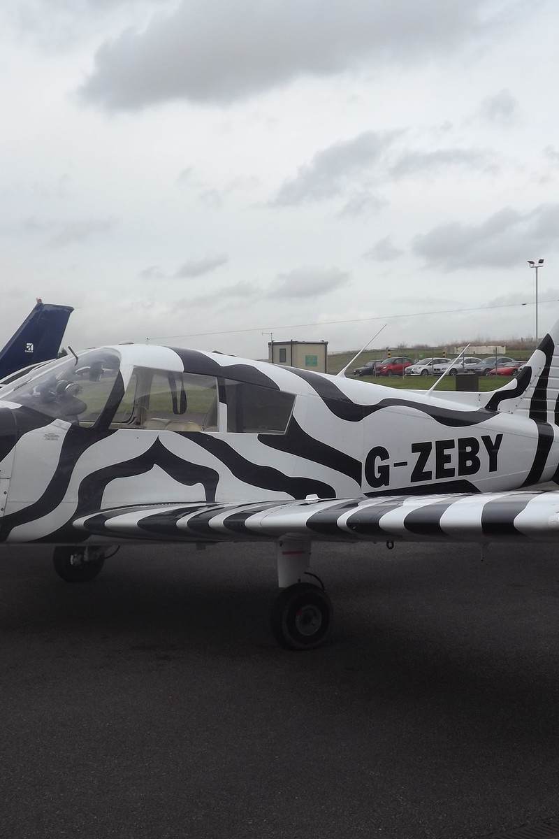 G-ZEBY - Piper