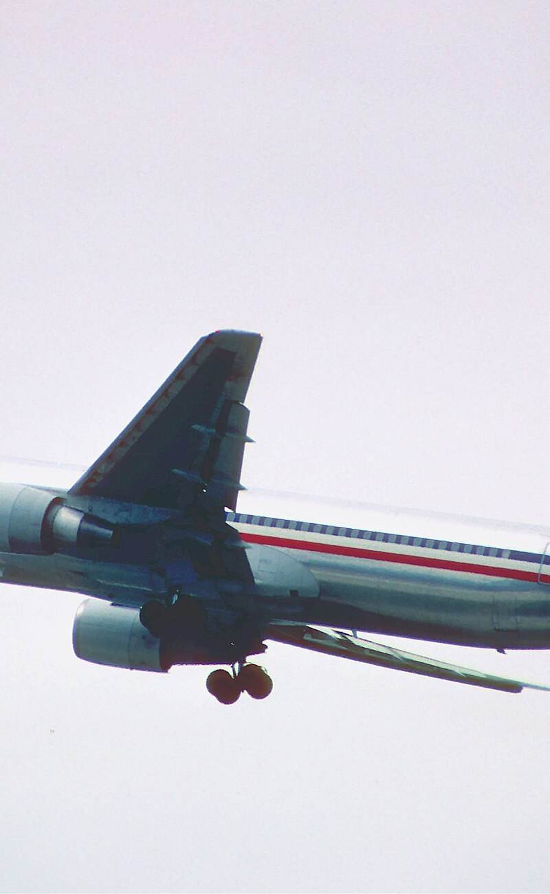 N362AA - Twin-engine aircraft