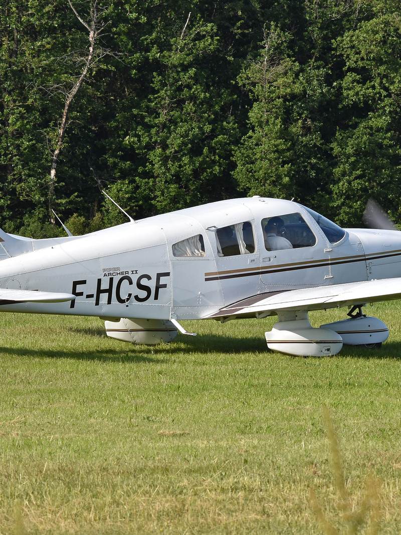 F-HCSF - Piper