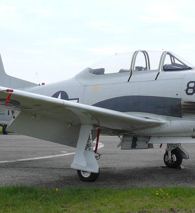  - Warbird