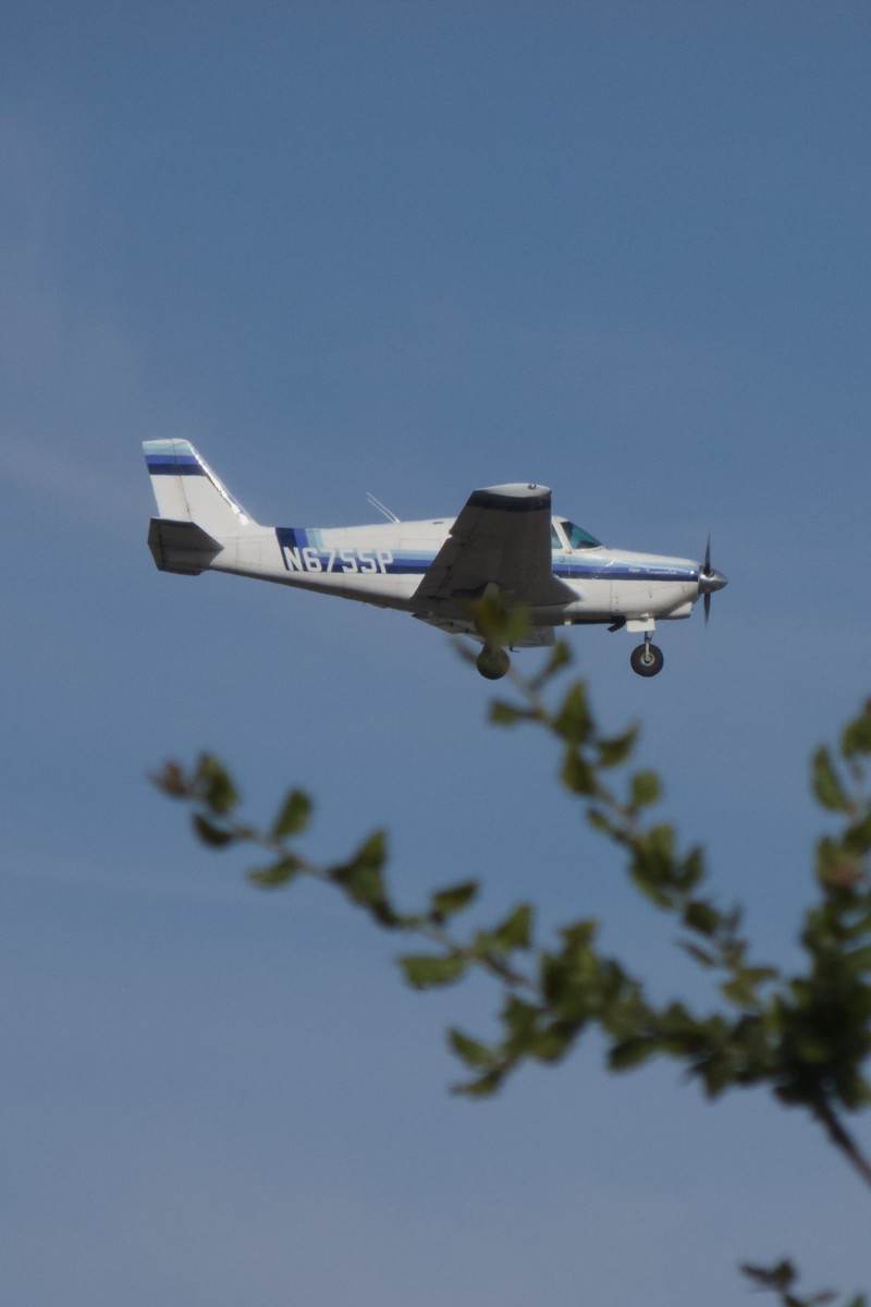 N6755P - Piper
