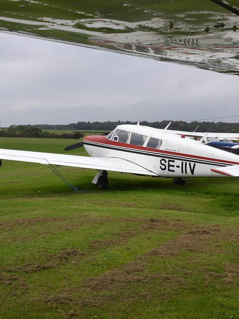 SE-IIV - Piper