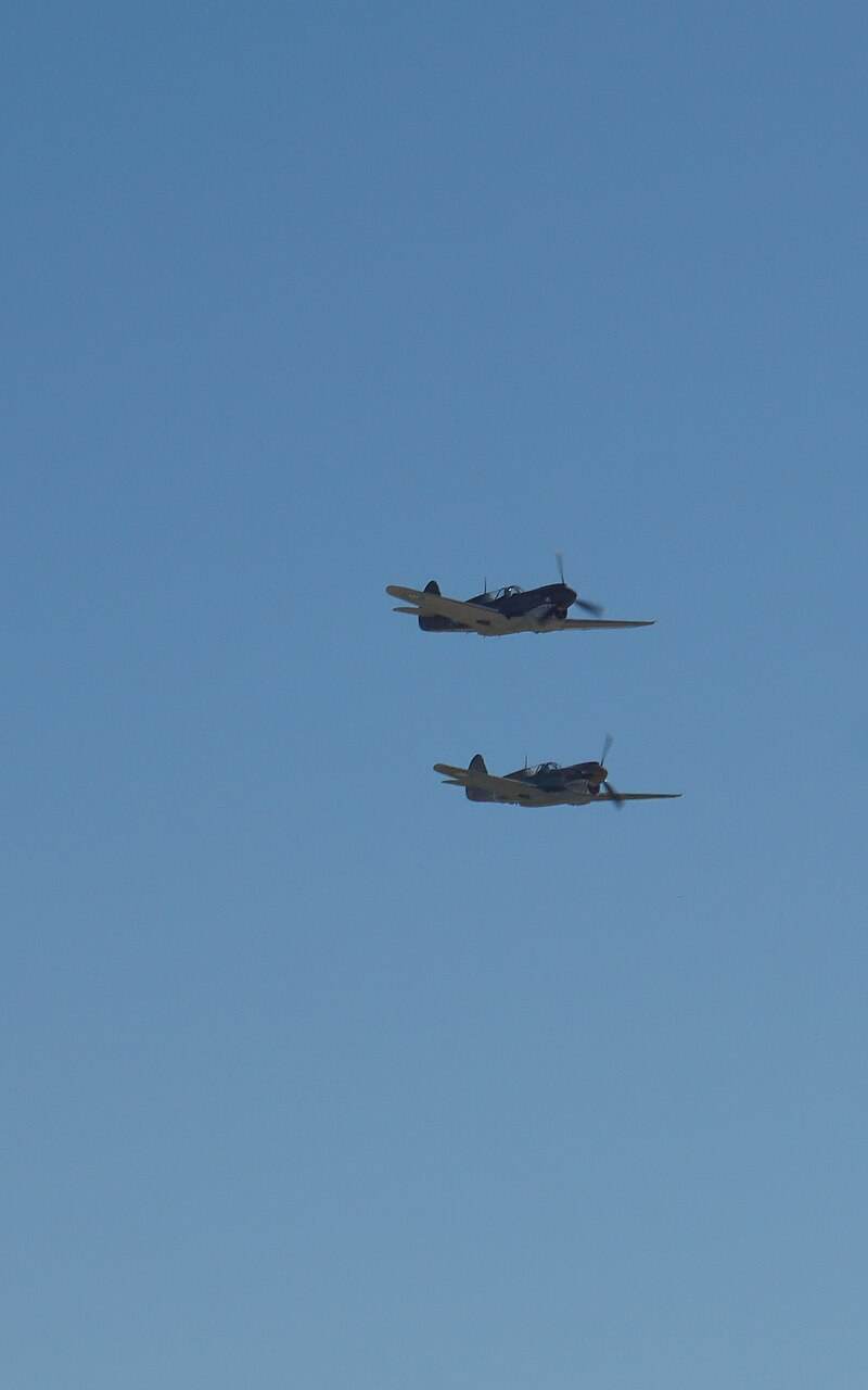 N1226N - Warbird