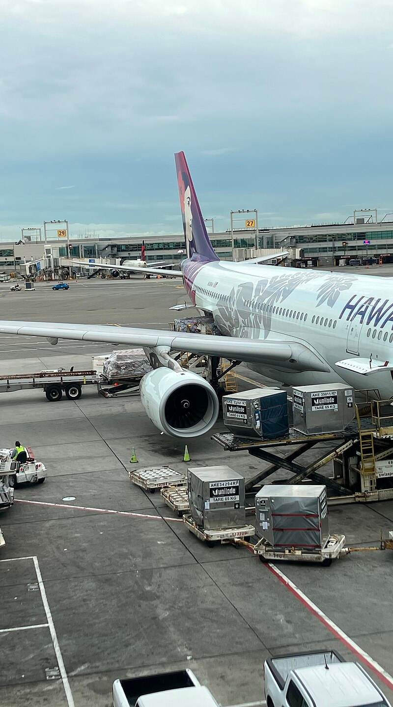 N381HA - Airbus
