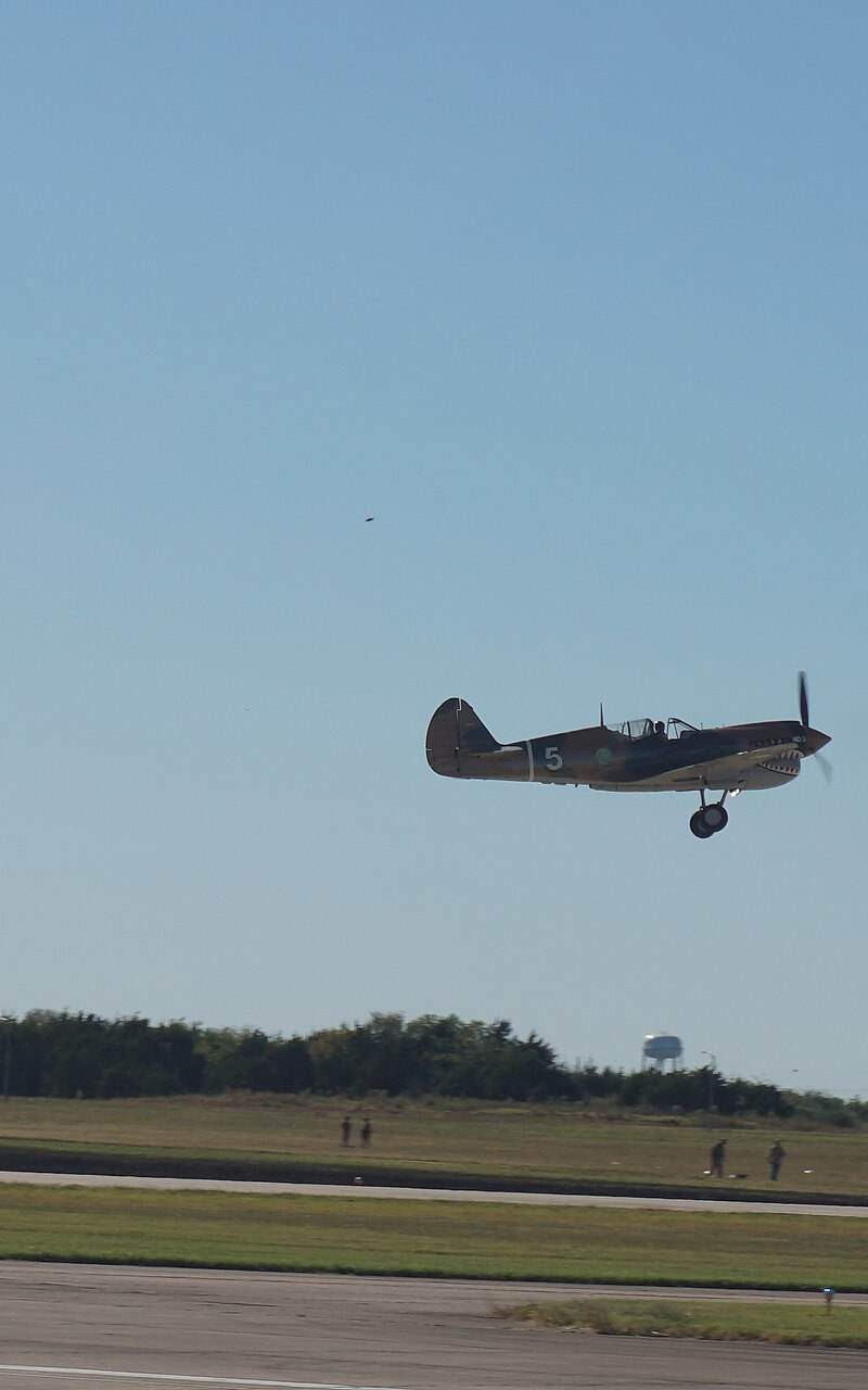  - Warbird